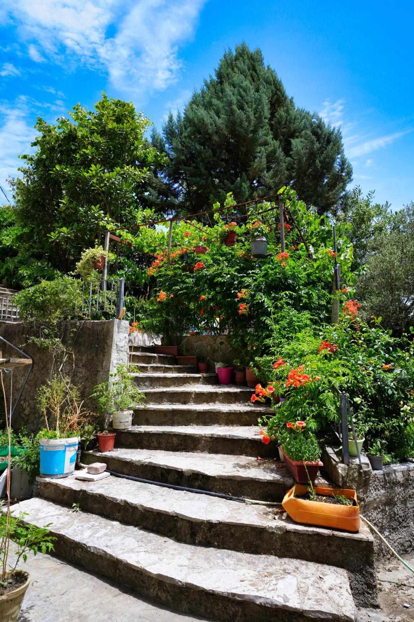 Vila Banushi Gjirokastër Buitenkant foto